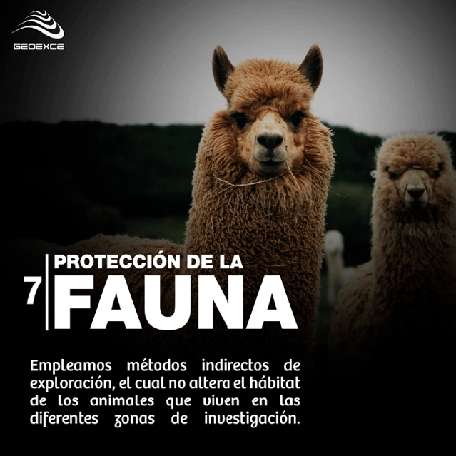 Protección de la Fauna