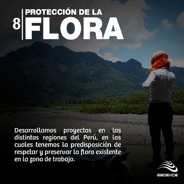 Protección de la Flora